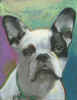 jiggsdraw72.jpg (31367 bytes)